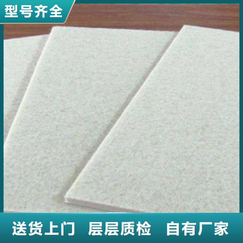 土工布【玻纤土工格栅】工艺精细质保长久质检严格