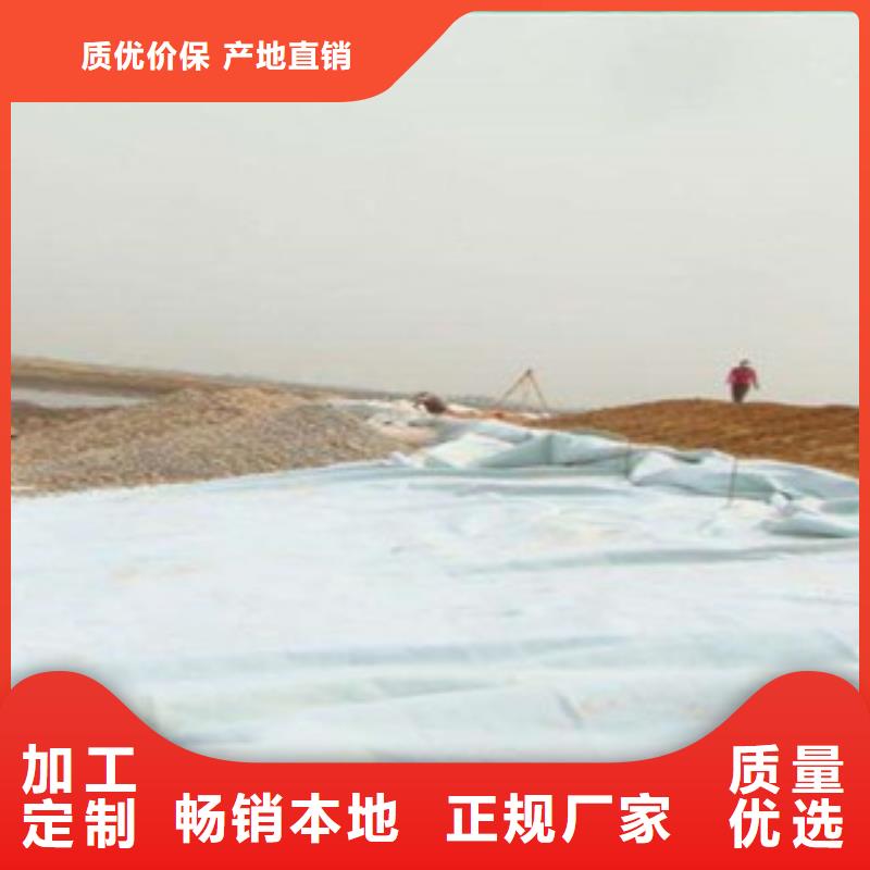土工布【玻纤土工格栅】工艺精细质保长久质检严格