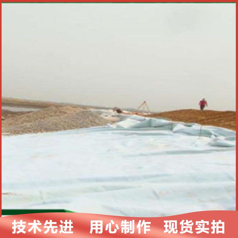 土工布钢塑土工格栅支持定制贴心售后