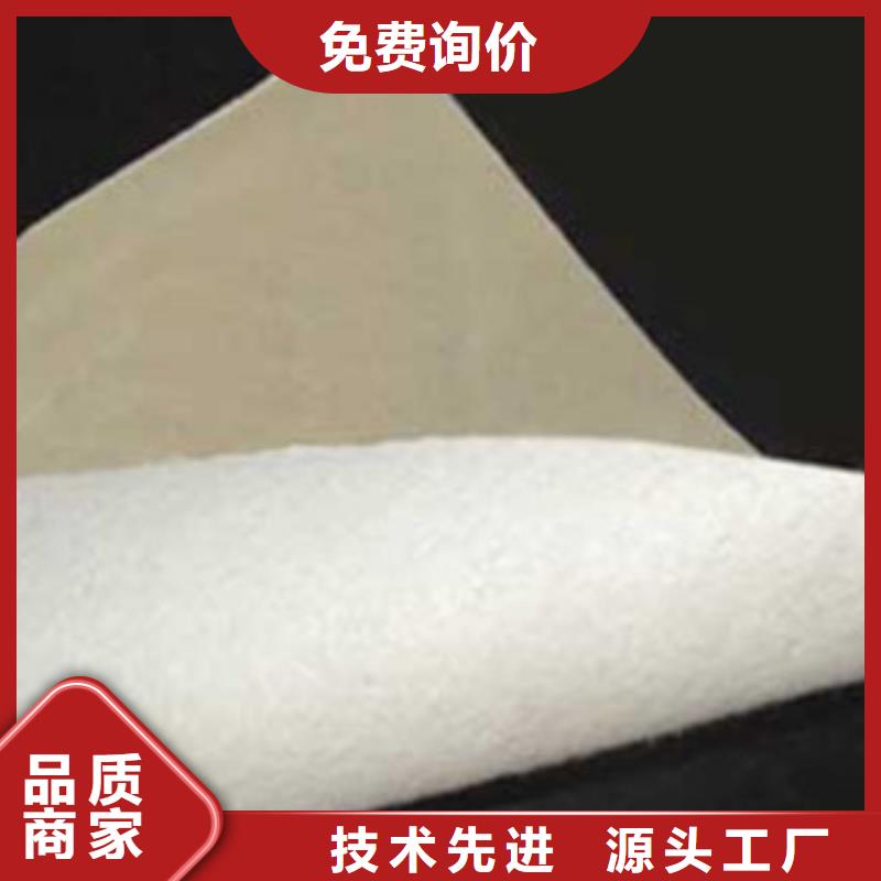 土工布【玻纤土工格栅】工艺精细质保长久质检严格