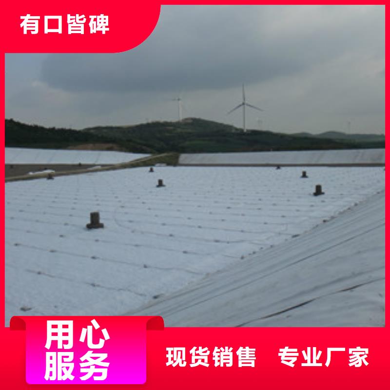 土工布高强度土工网追求品质