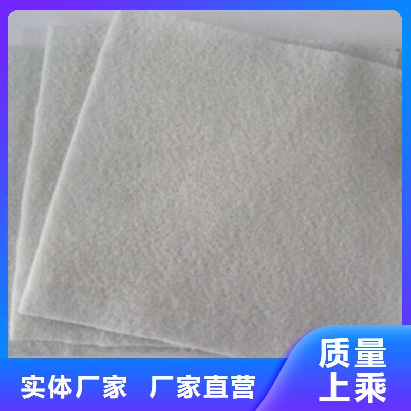 土工布【玻纤土工格栅】工艺精细质保长久质检严格