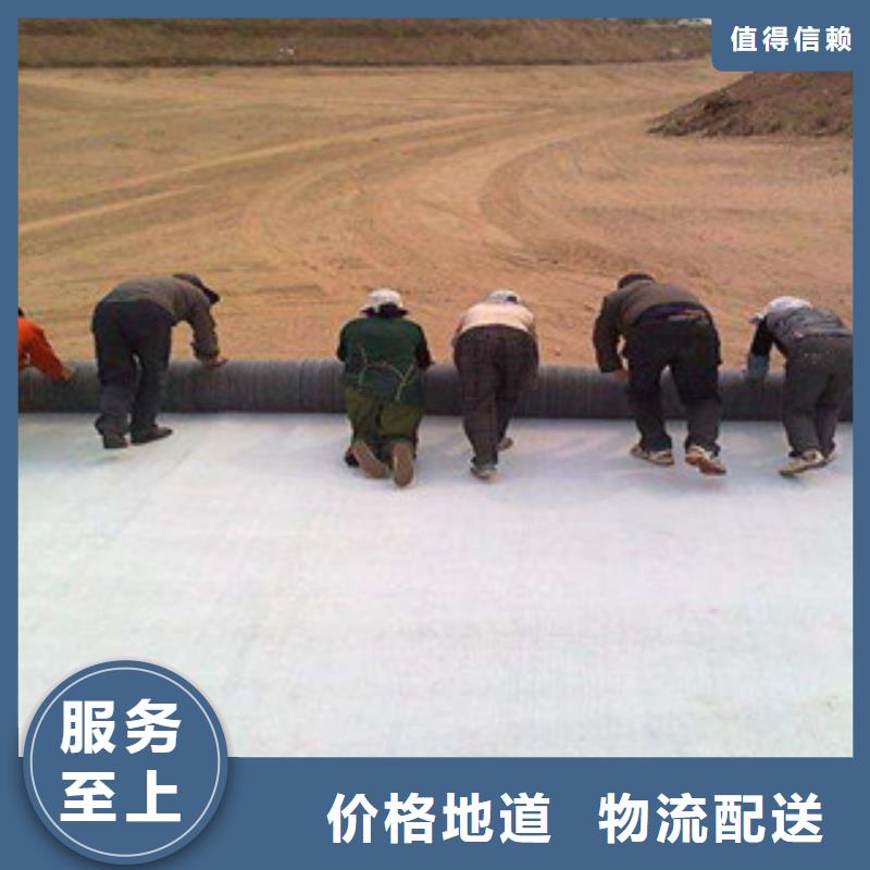 膨润土防水毯-塑料土工格栅优选厂家