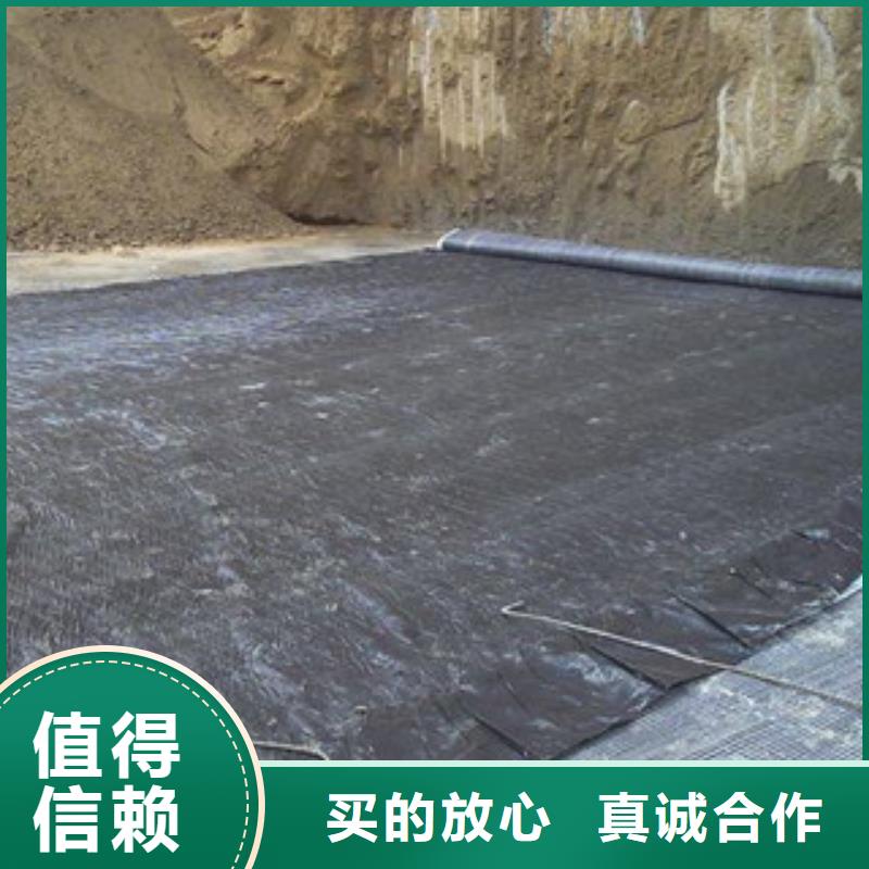 膨润土防水毯优选货源