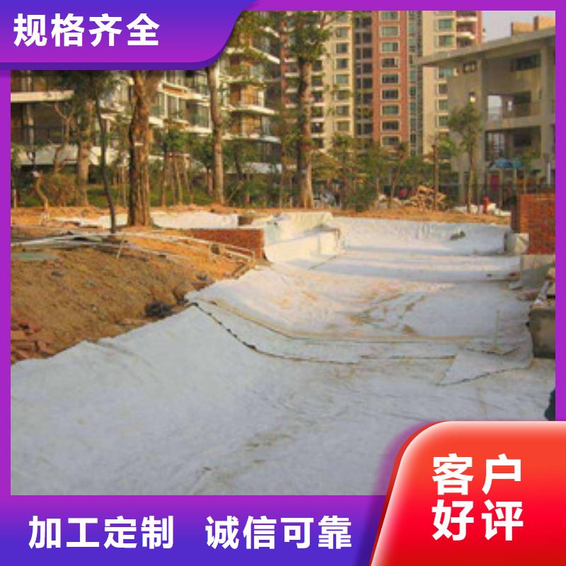 【膨润土防水毯】三维植被网厂家经验丰富同城品牌