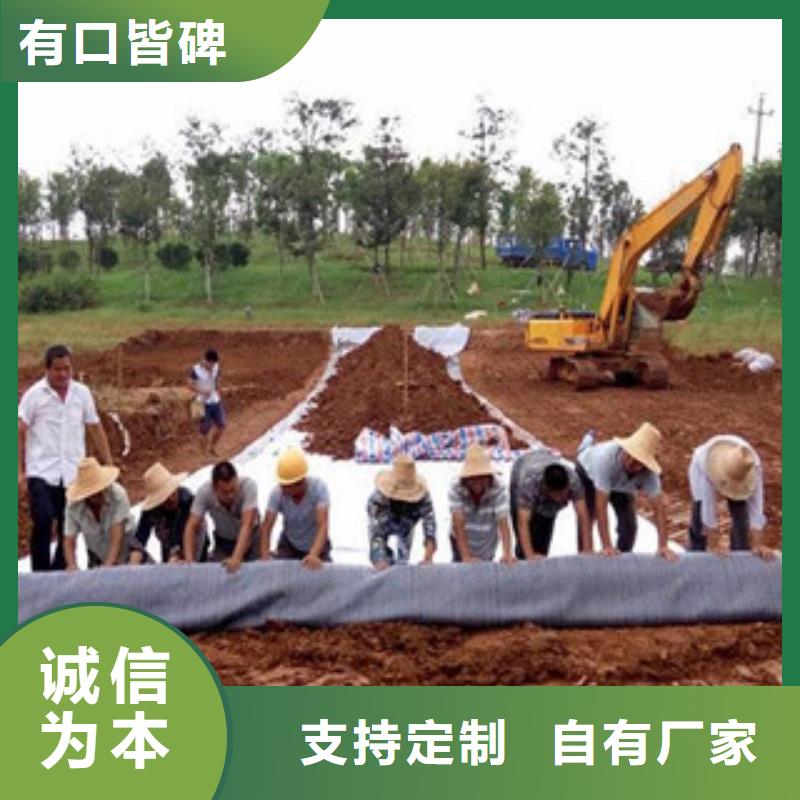 【膨润土防水毯】三维植被网厂家经验丰富同城品牌