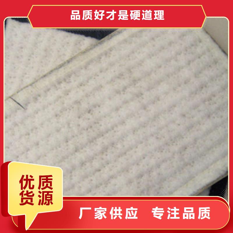 膨润土防水毯-塑料土工格栅优选厂家