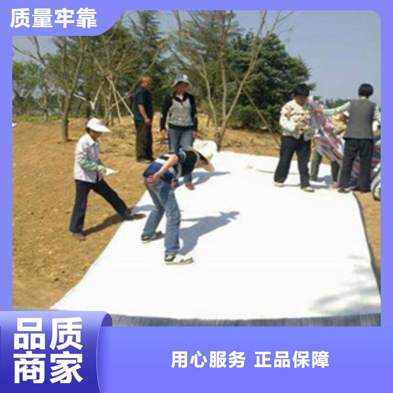 {路德}【 膨润土防水毯 复合土工布用品质赢得客户信赖】-