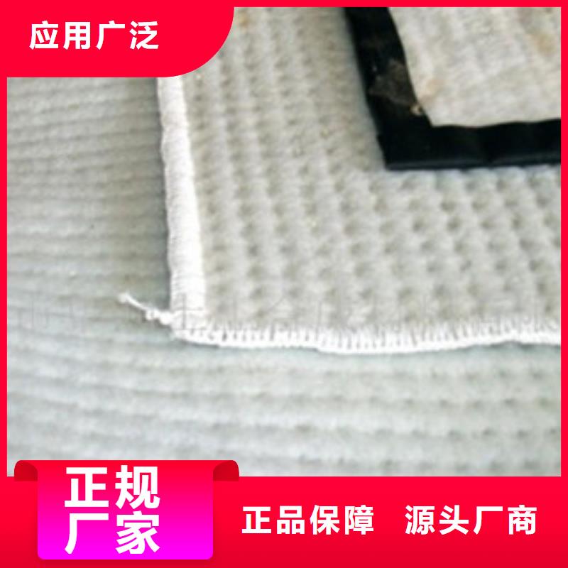 {路德}【 膨润土防水毯 复合土工布用品质赢得客户信赖】-
