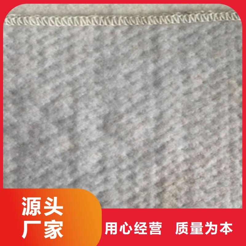 【膨润土防水毯】三维植被网厂家经验丰富同城品牌