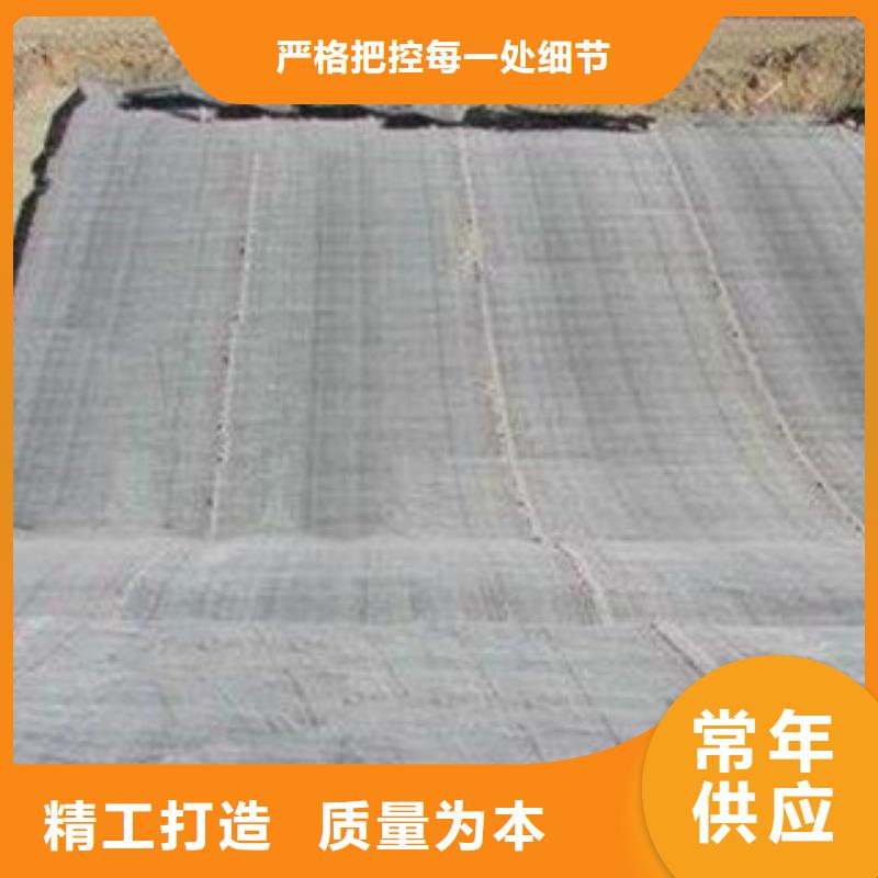 膨润土防水毯【钢塑土工格栅】颜色尺寸款式定制