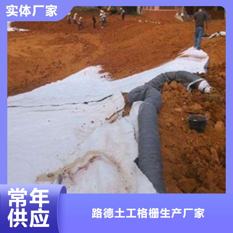 【膨润土防水毯】三维植被网厂家经验丰富同城品牌