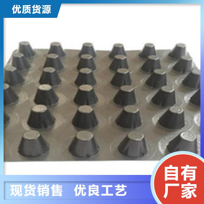 塑料排水板_钢塑土工格栅好品质经得住考验