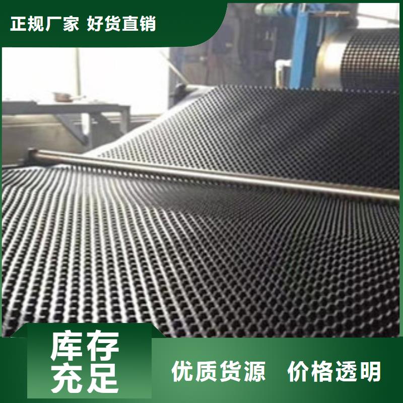 【塑料排水板】 钢塑土工格栅正规厂家-路德土工格栅生产厂家(哈尔滨市分公司)-快快发广告