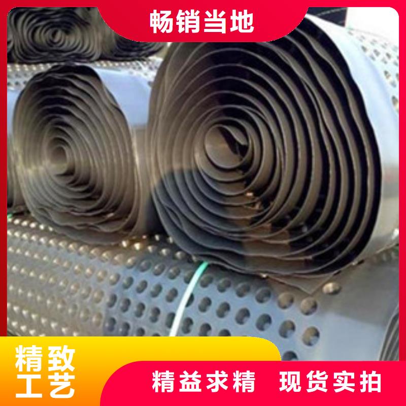 【 塑料排水板-三维植被网的图文介绍】 路德土工格栅生产厂家(温州市分公司)