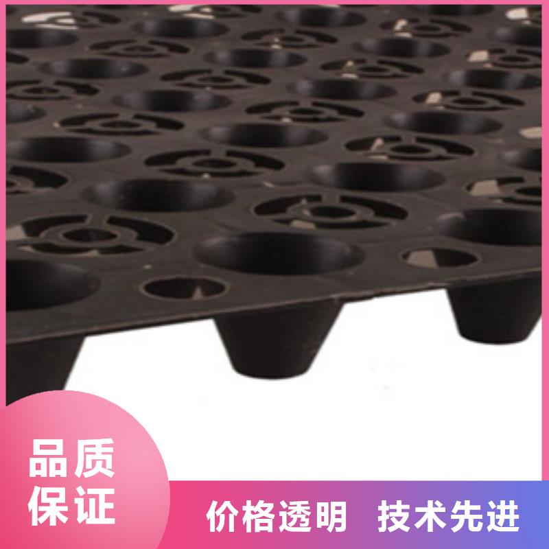 【塑料排水板】 钢塑土工格栅正规厂家-路德土工格栅生产厂家(哈尔滨市分公司)-快快发广告