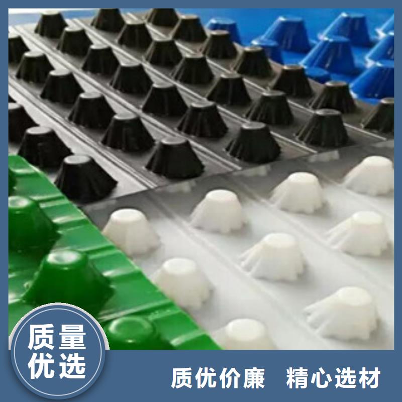 塑料排水板_钢塑土工格栅好品质经得住考验