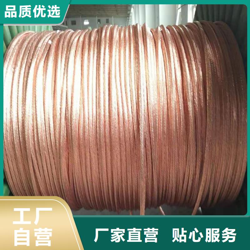 铜绞线镀锡铜绞线好产品不怕比