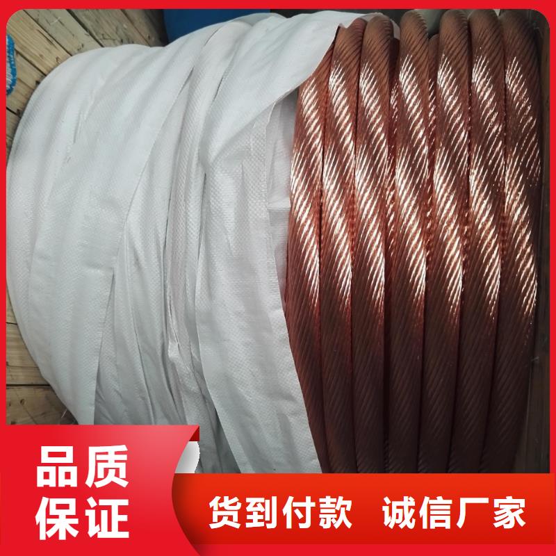 黄铜带视频-河南省驻马店市|汝南|上蔡|洛阳|郑州|鹤壁|安阳黄铜带-辰昌盛通