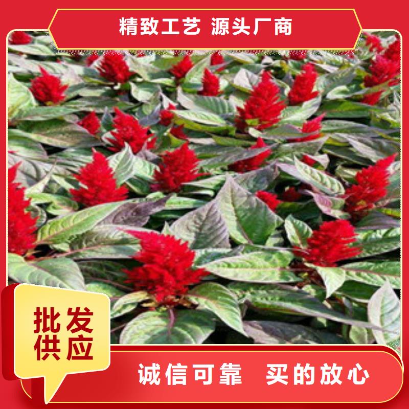 【花海景观】,花海景观工程质量检测