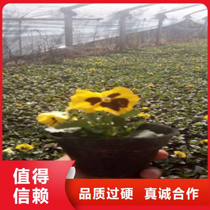 【花海景观】,花海景观工程质量检测