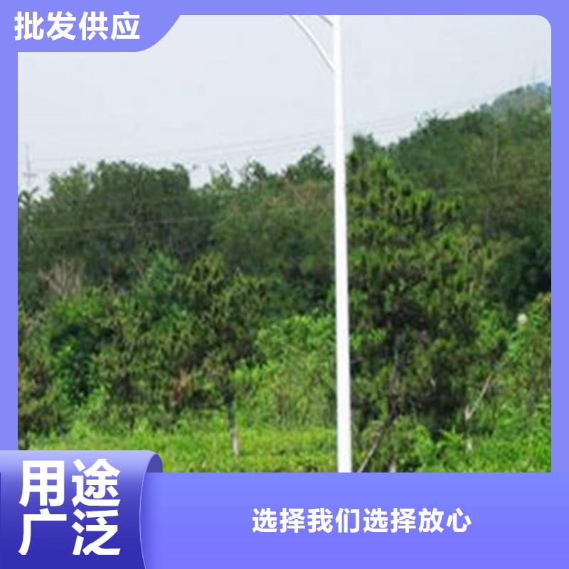 太阳能市电路灯可定制有保障