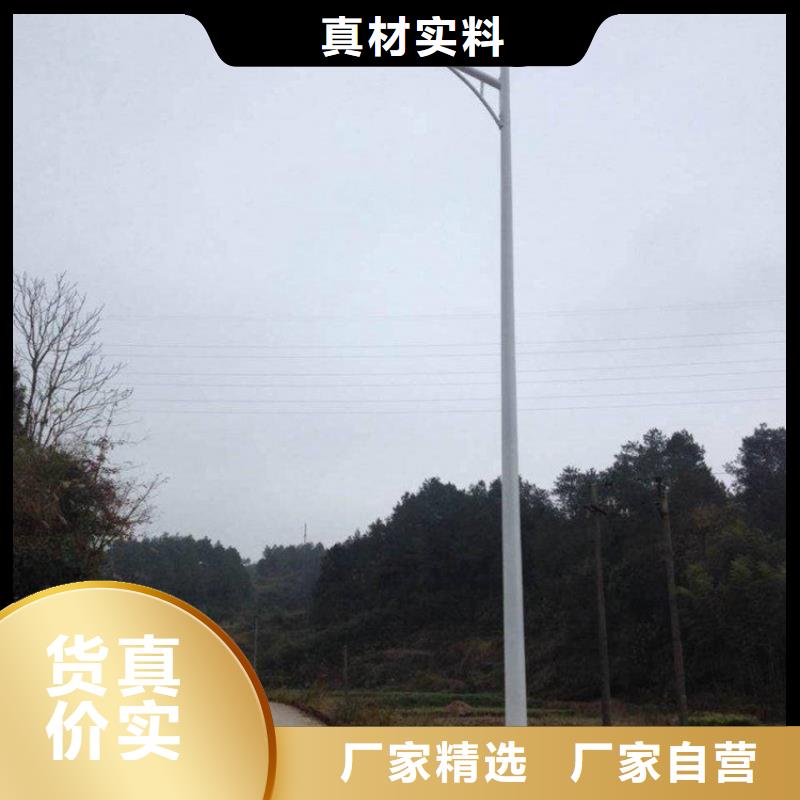 太阳能市电太阳能杀虫灯厂家支持批发零售
