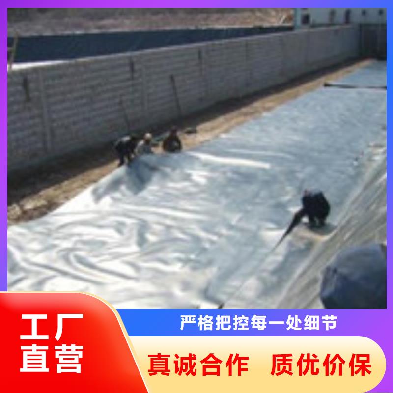【泰驰】阳东|江城|韶关|江门|东莞|梅州|深圳|云浮【】 土工席垫专业生产厂家货源