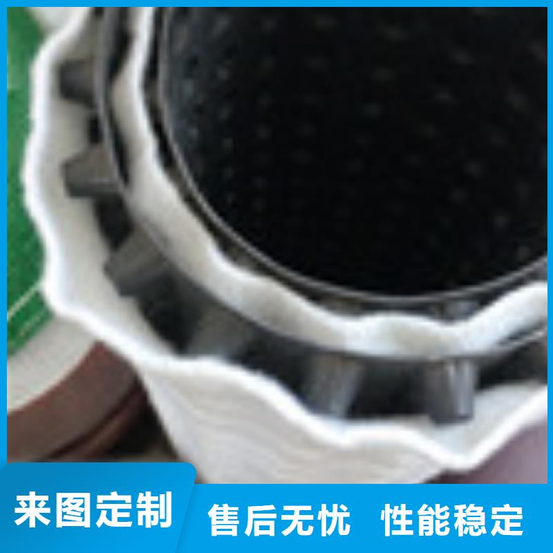 【泰驰】阳东|江城|韶关|江门|东莞|梅州|深圳|云浮【】 土工席垫专业生产厂家货源