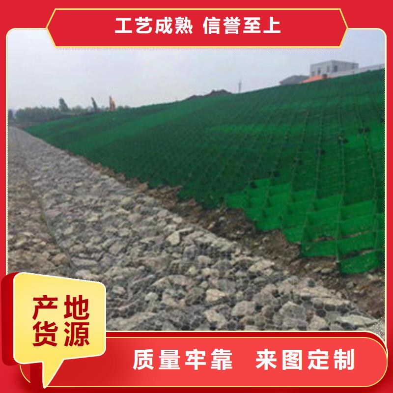 蜂巢格室_蜂格网专业设计