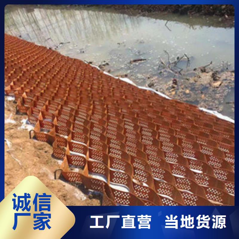 蜂巢格室HDPE复合排水板质优价廉