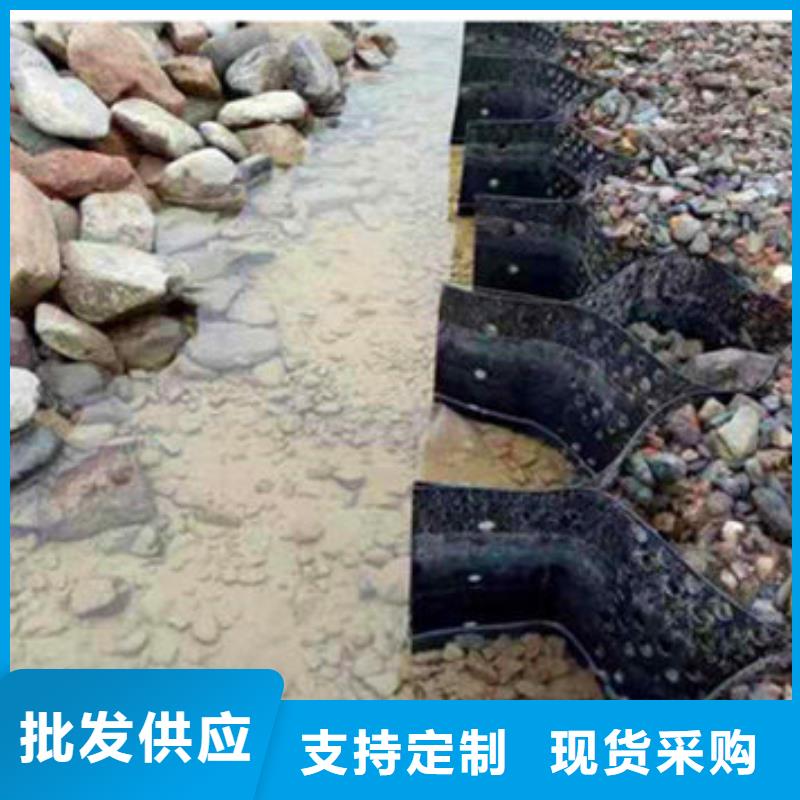 蜂巢格室_蜂格网专业设计