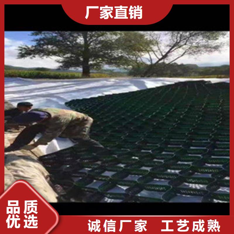 蜂巢格室-涤纶格栅详细参数