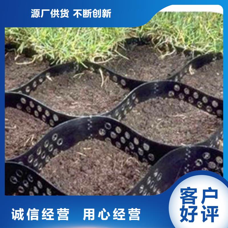 蜂巢格室三维植被网拥有核心技术优势