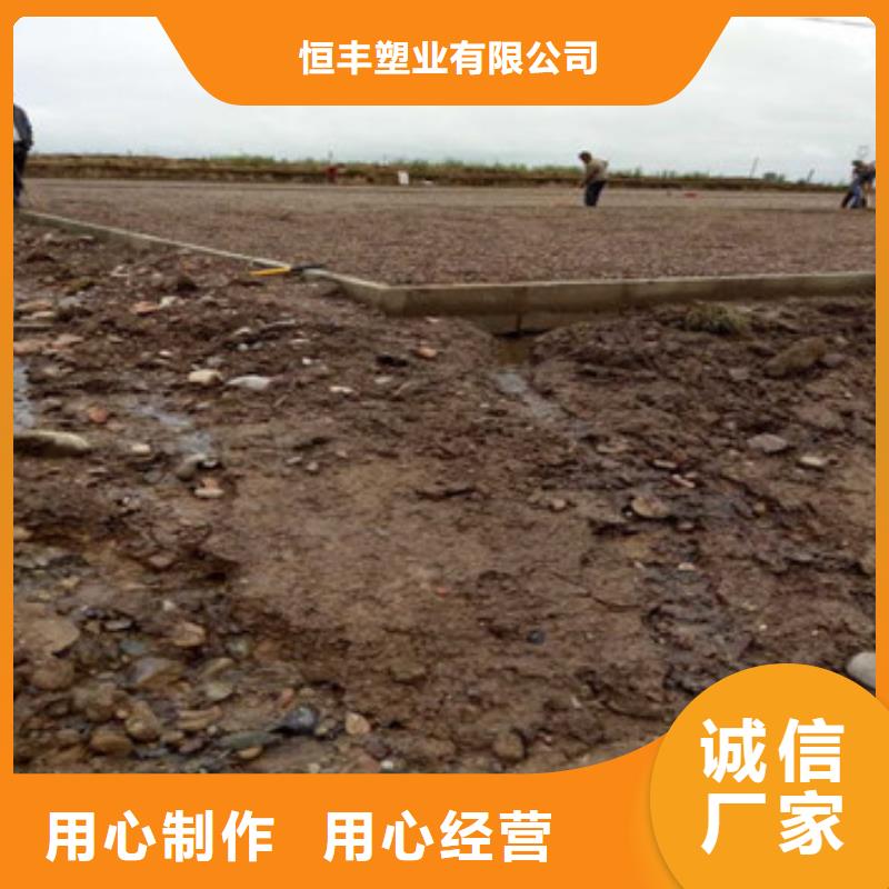 蜂巢格室,土工布货真价实