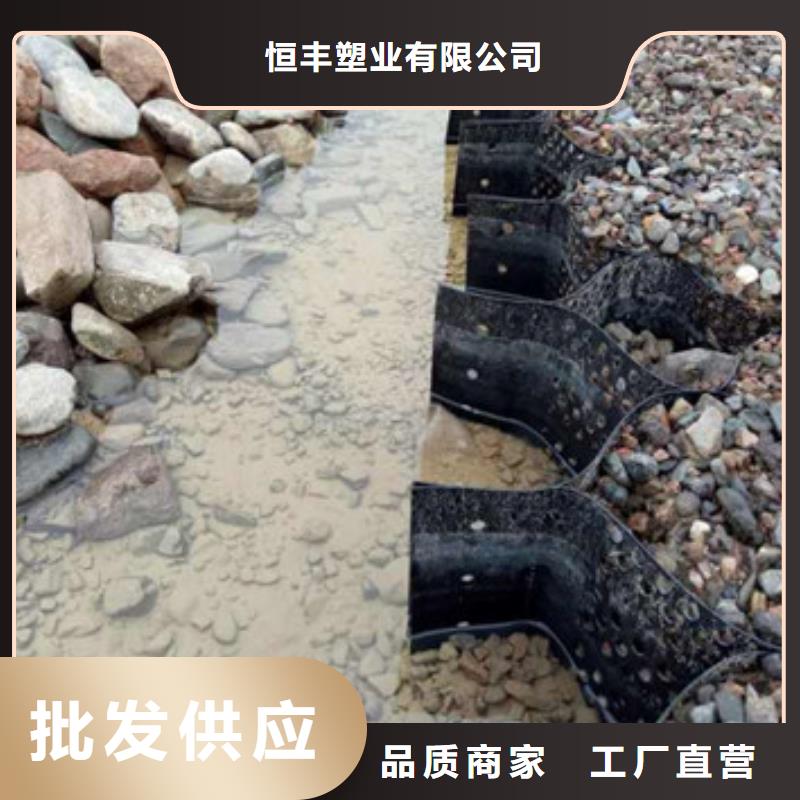 蜂巢格室三维植被网源头工厂