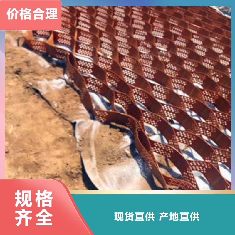  蜂巢格室大厂家实力看得见