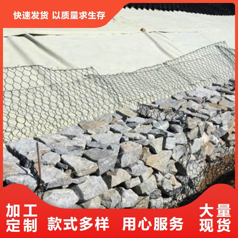 蜂巢格室HDPE复合排水板质优价廉