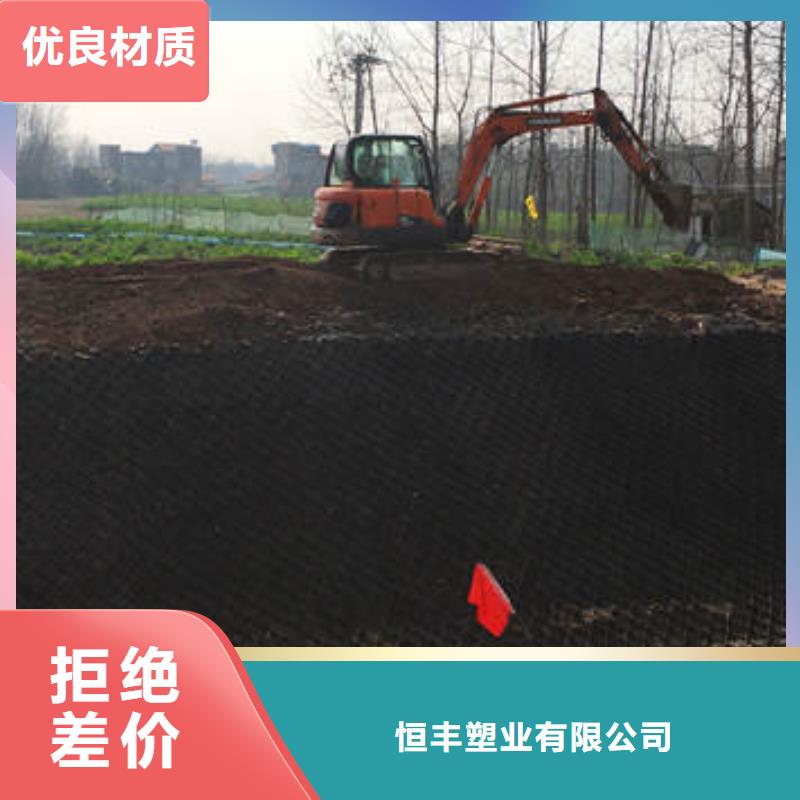 蜂巢格室,土工布货真价实