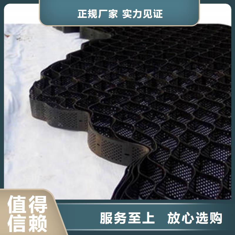 蜂巢格室涤纶格栅通过检测