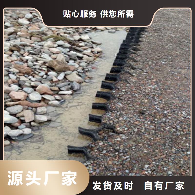 蜂巢格室 土工格室厂家现货供应