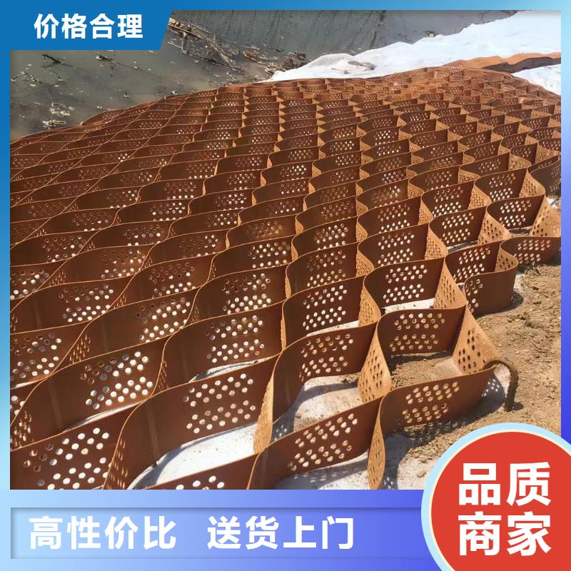 蜂巢格室土工膜经验丰富质量放心