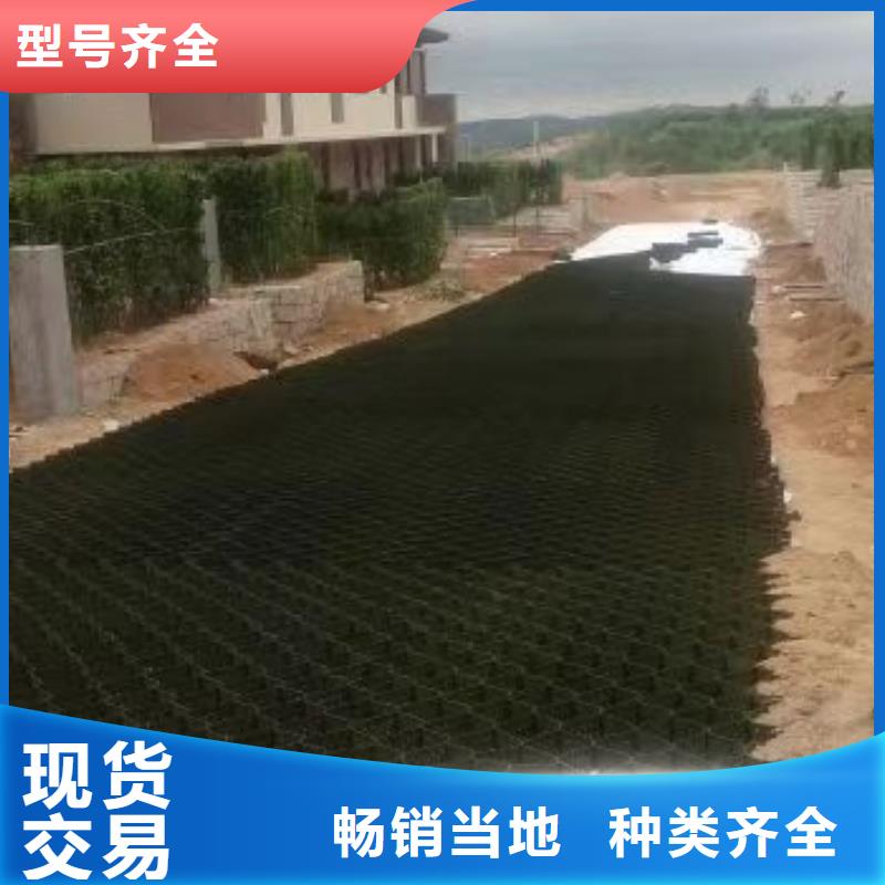 蜂巢格室土工格室低价货源