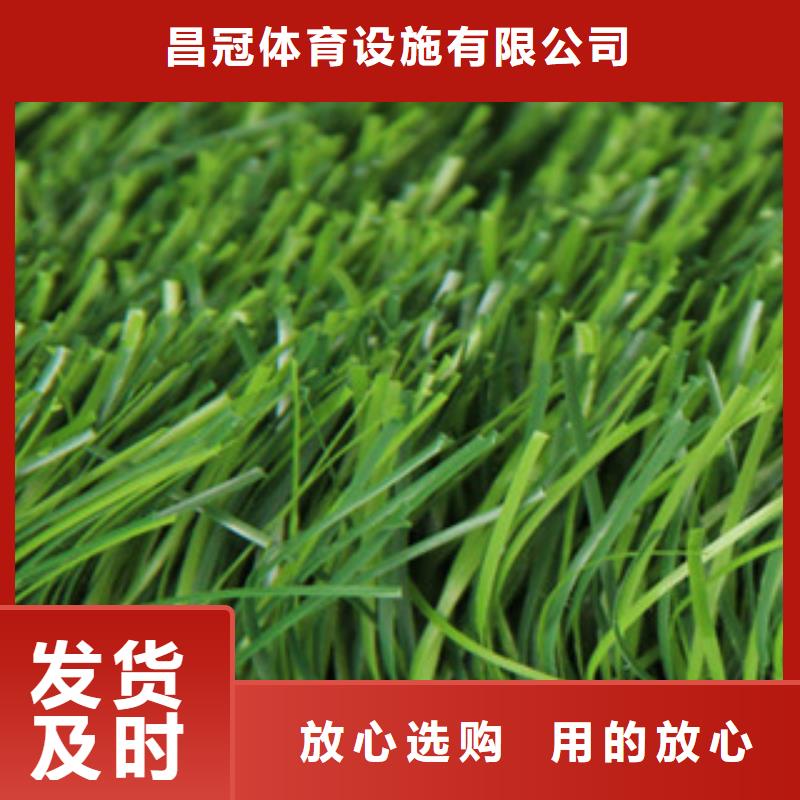 【人造草坪】_塑胶地板买的放心安兴用的舒心