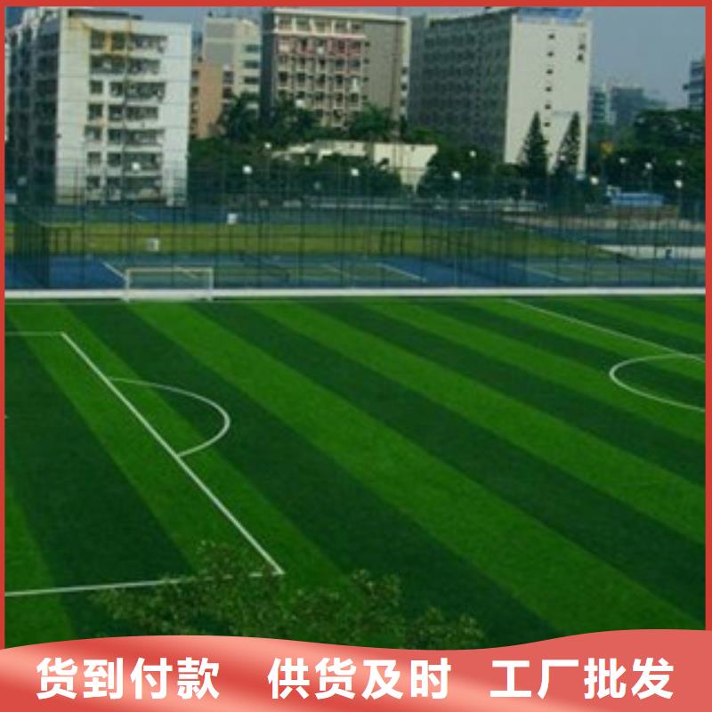 【 人造草坪支持加工定制】覆盖范围含|景洪|勐腊|怒江|玉溪|红河|保山|文山