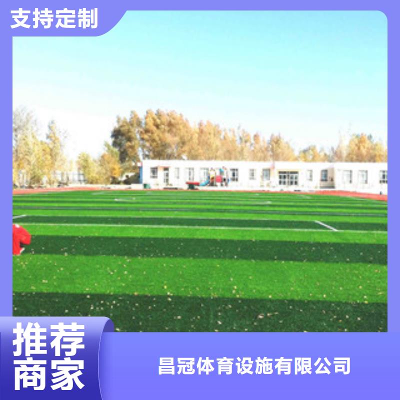 人造草坪看台座椅定制定做