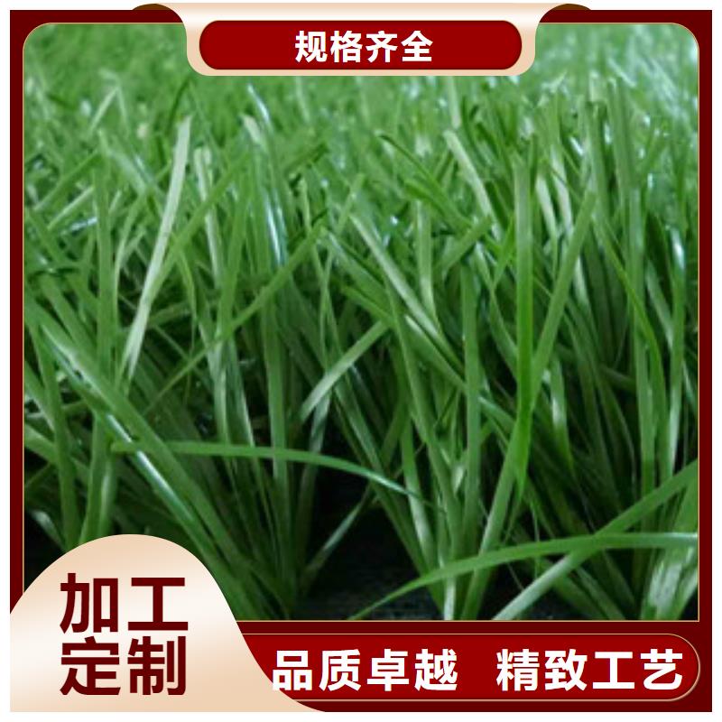人造草坪厂家货源稳定