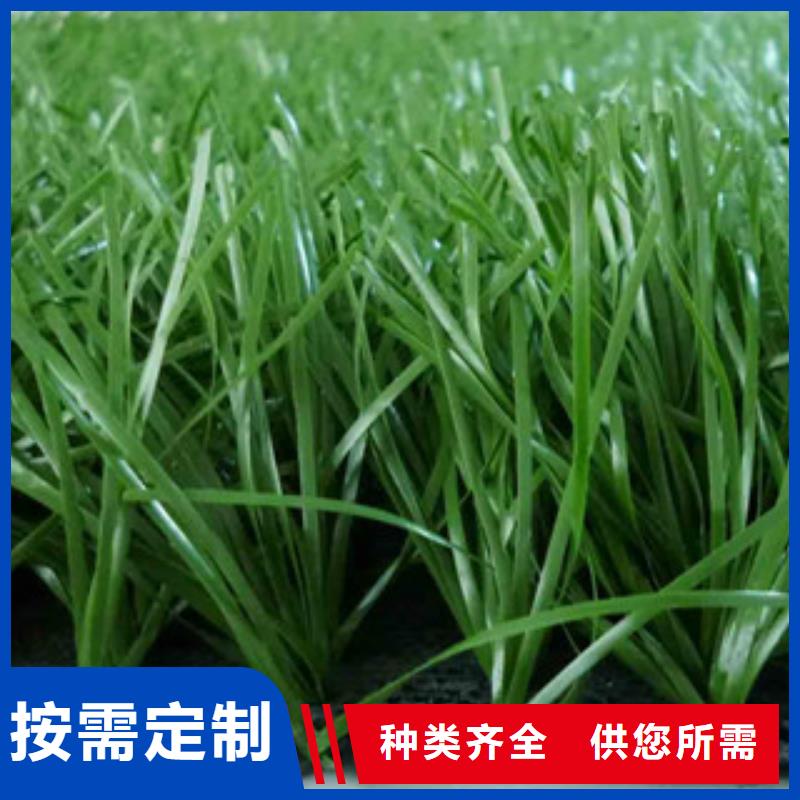 人造草坪乒乓球台来图定制量大从优