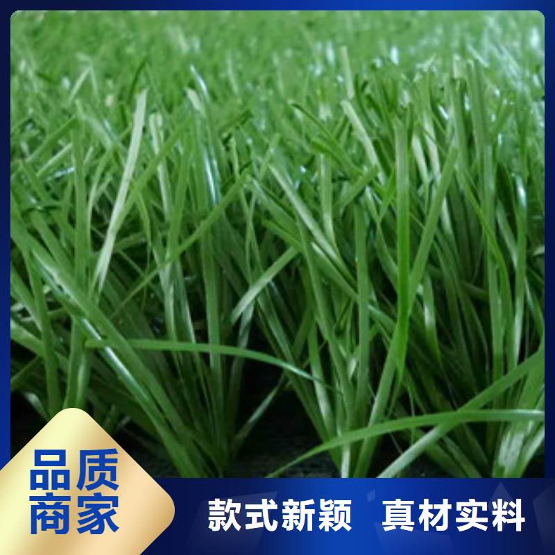人造草坪看台座椅品质保证实力见证
