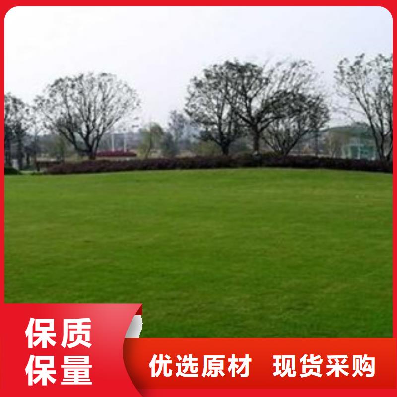 人造草坪,塑胶地板源头厂商
